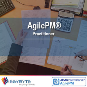 AgilePM® Practitioner