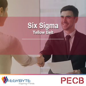 Six Sigma Yellow Belt