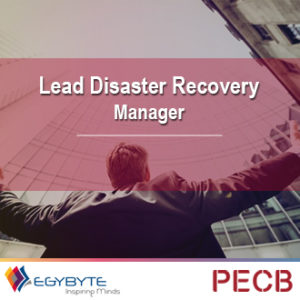 Lead Disaster Recovery Manager