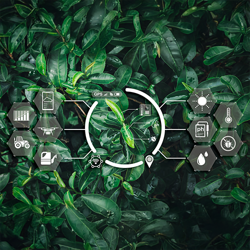 ISO 14001 Environmental MS Lead Implementer